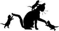 CAT024C.TIF