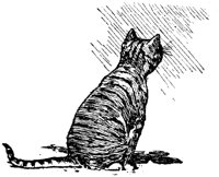 CAT024B.TIF