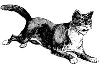 CAT024A.TIF