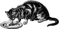 CAT023M.TIF