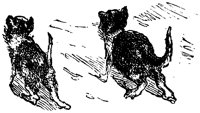 CAT023I.TIF