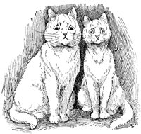 CAT023H.TIF