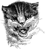 CAT023F.TIF