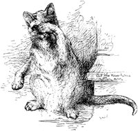 CAT023E.TIF