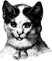 CAT023C.TIF