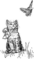 CAT023B.TIF