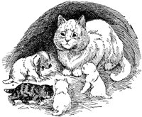 CAT023A.TIF