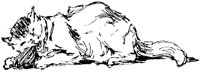 CAT022L.TIF