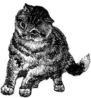 CAT022K.TIF