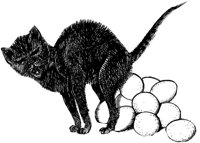 CAT022J.TIF
