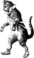 CAT022I.TIF