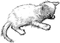 CAT022H.TIF