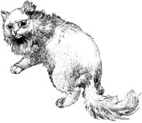 CAT022F.TIF
