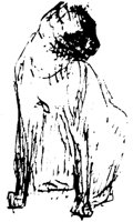 CAT022E.TIF