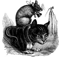 CAT022A.TIF