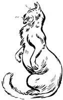 CAT021K.TIF