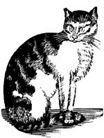 CAT021F.TIF