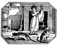 CAT021E.TIF