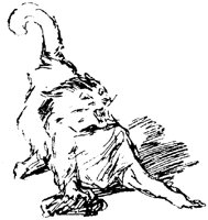 CAT021D.TIF