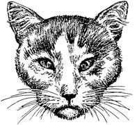CAT021A.TIF