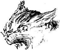 CAT020K.TIF