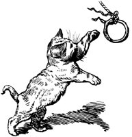 CAT020G.TIF