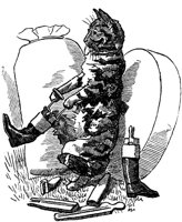 CAT020F.TIF