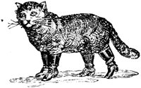 CAT020D.TIF