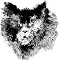 CAT020B.TIF