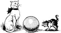 CAT020A.TIF