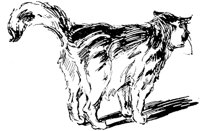 CAT019I.TIF