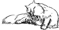 CAT019F.TIF