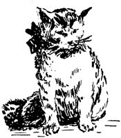 CAT019B.TIF
