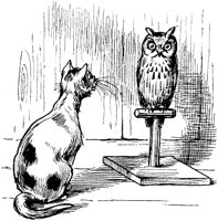 CAT019A.TIF