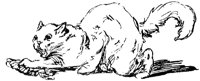 CAT018K.TIF