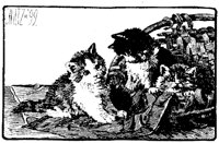 CAT018G.TIF