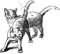 CAT018E.TIF