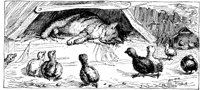 CAT018B.TIF