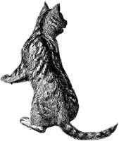 CAT018A.TIF