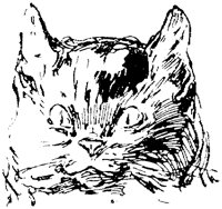 CAT017M.TIF