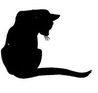 CAT017L.TIF