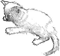 CAT017J.TIF