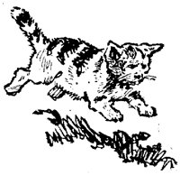 CAT017G.TIF