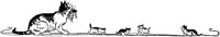CAT017F.TIF