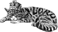 CAT017E.TIF