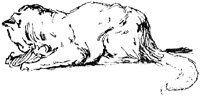 CAT017C.TIF
