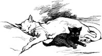 CAT017B.TIF