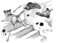 CAT016J.TIF