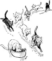 CAT016I.TIF