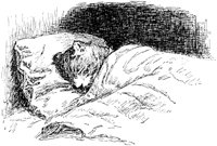 CAT016H.TIF